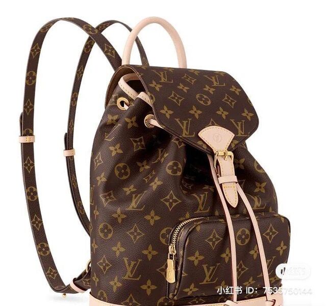Рюкзак Louis Vuitton женский канва 154339