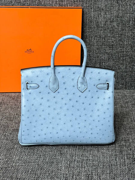 Сумка Hermès Birkin 25 Ostrich Mykonos Gold Hardware женский кожа бирюзовый 122721-3