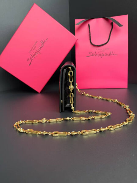 Сумка Schiaparelli женский кожа черный 180859-3