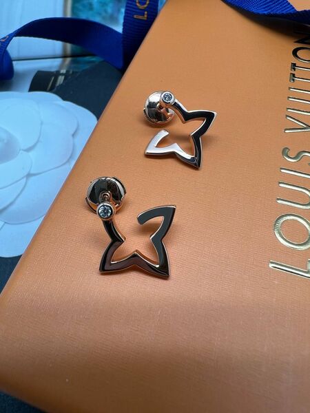 Серьги Louis Vuitton серый 175437