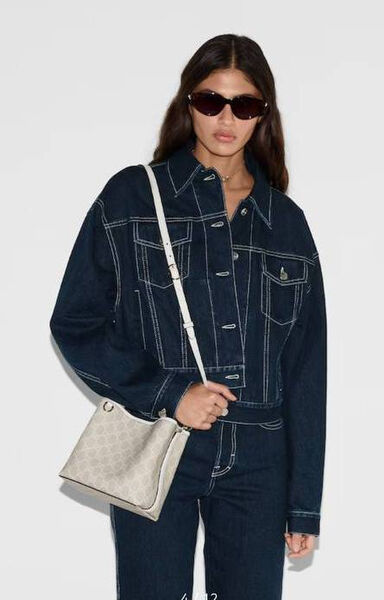 Сумка Gucci Emble женский канва графитовый 184933-2