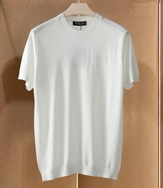 Мужская футболка Loro Piana мужской белый 178564