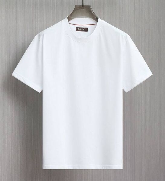 Мужская футболка Loro Piana мужской белый 178536