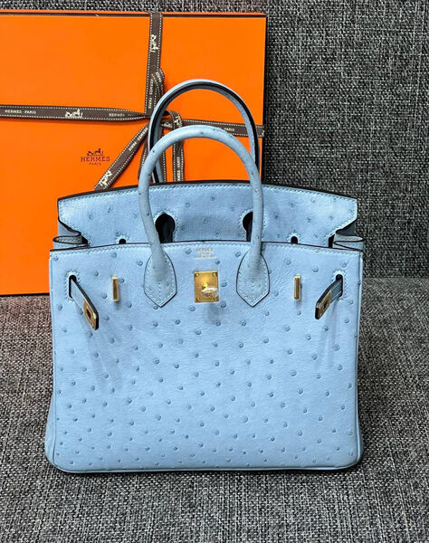 Сумка Hermès Birkin 25 Ostrich Mykonos Gold Hardware женский кожа бирюзовый 122721-8