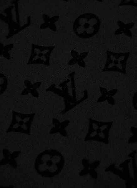 Мужская футболка Louis Vuitton мужской черный 172898-5