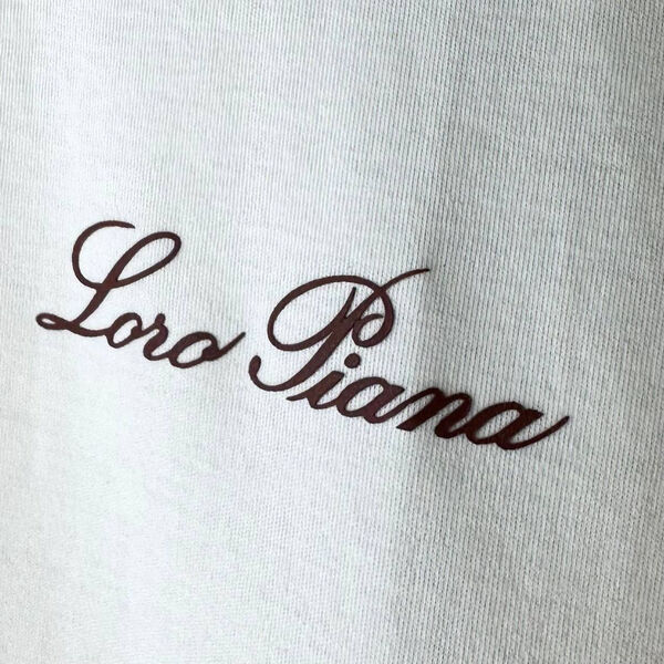 Мужская футболка Loro Piana мужской белый 144419-4