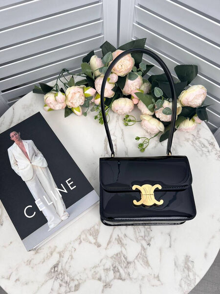 Сумка Celine женский кожа черный 170569-2