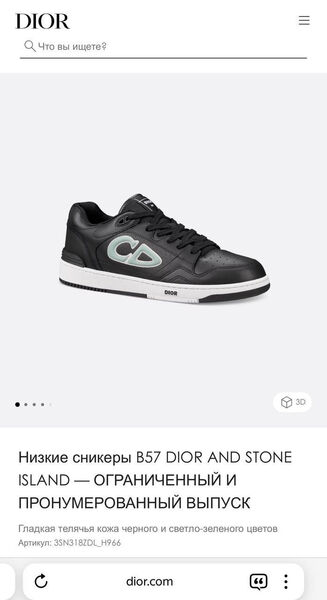 Мужские кроссовки Christian Dior мужской кожа черный 168671-6