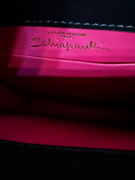 Сумка Schiaparelli женский кожа черный 174273-4