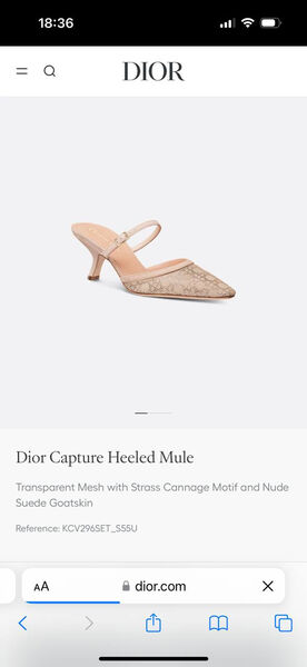 Туфли Christian Dior женский сетка бежевый 173865-5