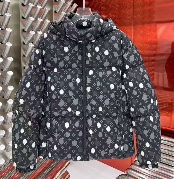 Мужской пуховик Louis Vuitton 167533