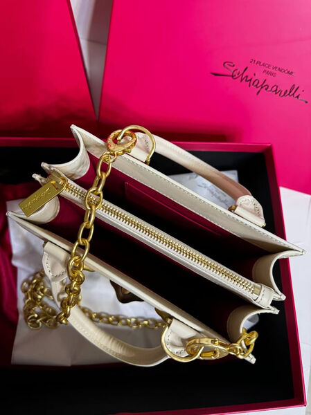 Сумка Schiaparelli женский кожа белый 174280-7