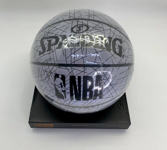 Мяч Spalding 55203