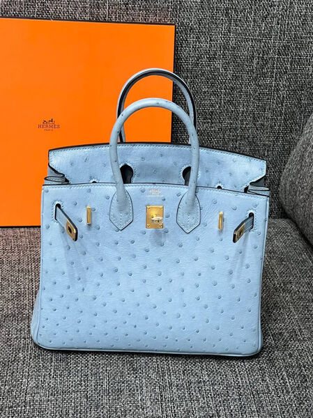Сумка Hermès Birkin 25 Ostrich Mykonos Gold Hardware женский кожа бирюзовый 122721-7