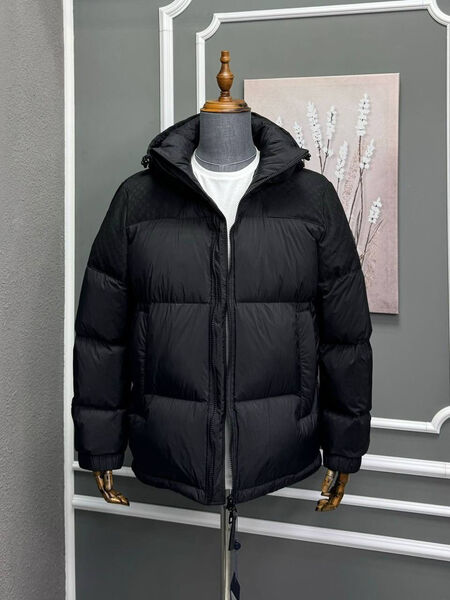 Мужской пуховик Louis Vuitton мужской черный 167564-2
