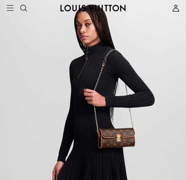 Сумка Louis Vuitton женский канва 193122-2