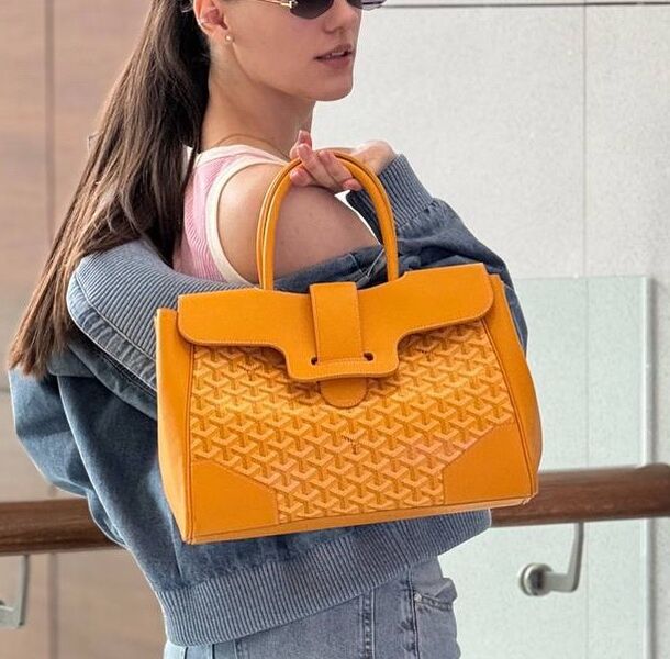 Сумка Goyard женский кожа горчичный 193888
