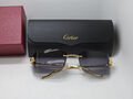 Очки Cartier 179721-4