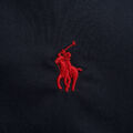 Мужская ветровка Ralph Lauren мужской синий 196195-10