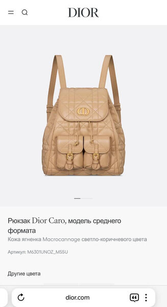Рюкзак Christian Dior женский кожа бежевый 189368-4