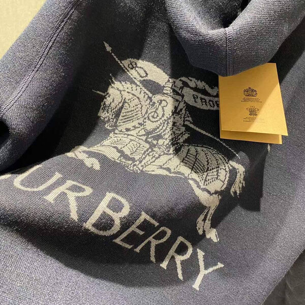 Мужская толстовка двухсторонняя Burberry мужской синий 161702-8