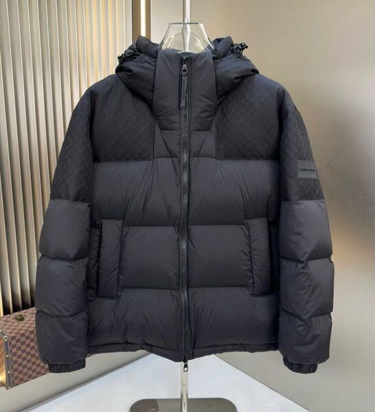 Мужской пуховик Louis Vuitton 167564