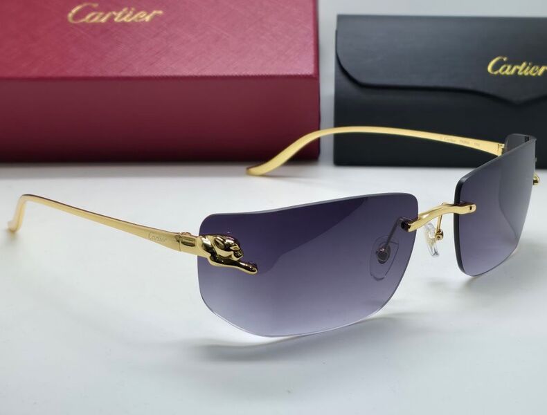Очки Cartier 179721