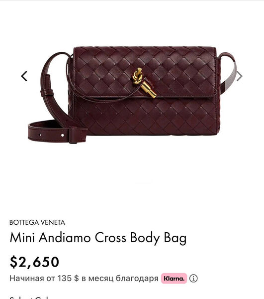 Сумка Bottega Veneta Mini женский кожа бордовый 156374-7