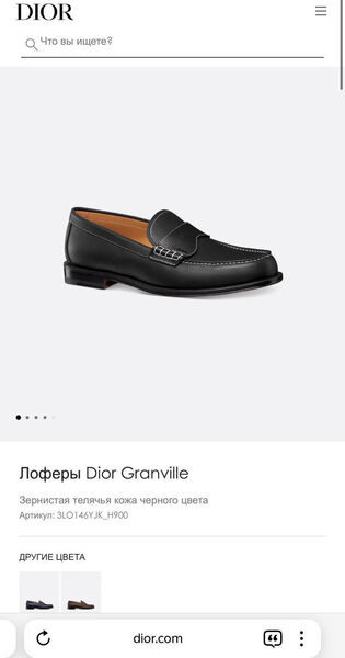 Мужские лоферы Christian Dior мужской кожа черный 161540-6