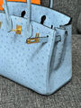 Сумка Hermès Birkin 25 Ostrich Mykonos Gold Hardware женский кожа бирюзовый 122721-5