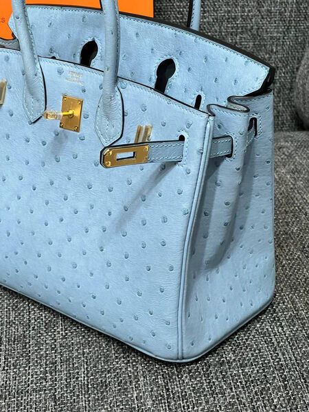 Сумка Hermès Birkin 25 Ostrich Mykonos Gold Hardware женский кожа бирюзовый 122721-5