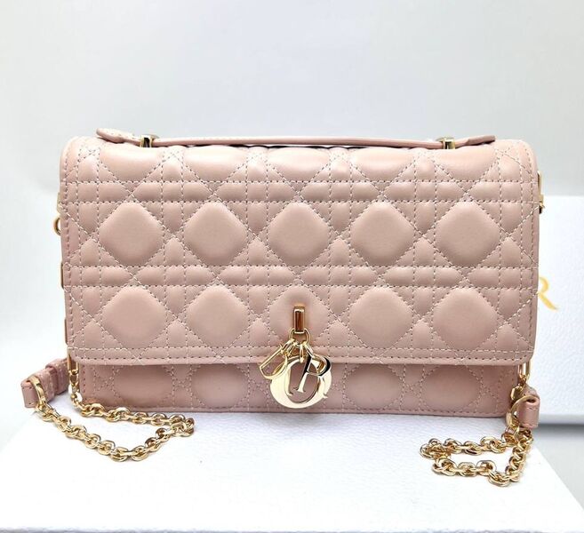 Сумка Christian Dior Handle женский кожа розовый 152941