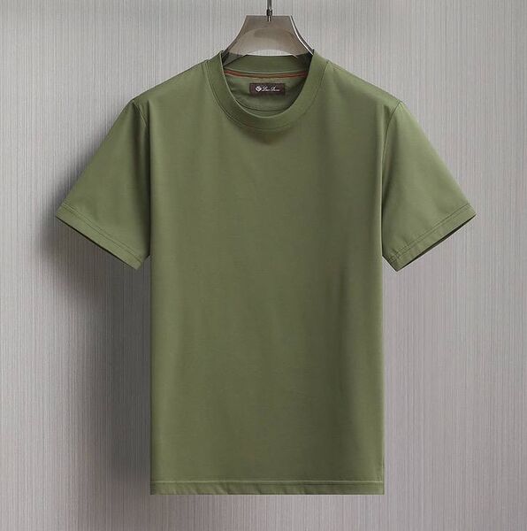 Мужская футболка Loro Piana мужской болотный 178542