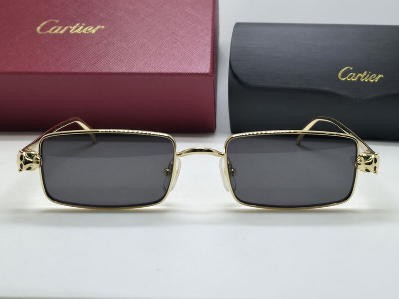 Очки Cartier 179716-4