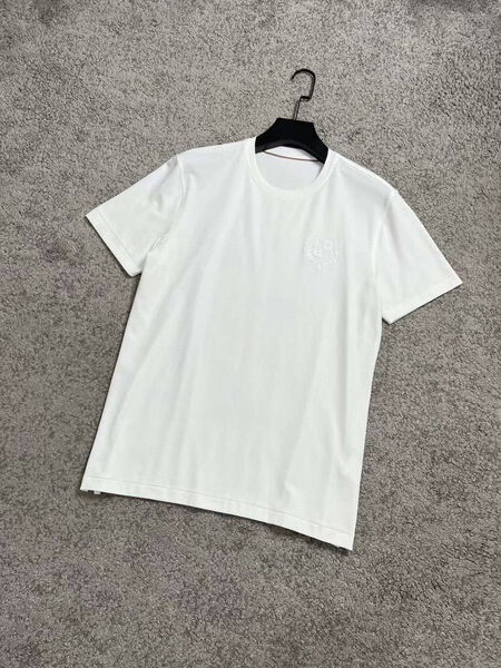 Мужская футболка Loro Piana мужской белый 143718-2