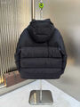 Мужской пуховик Louis Vuitton мужской черный 167564-8