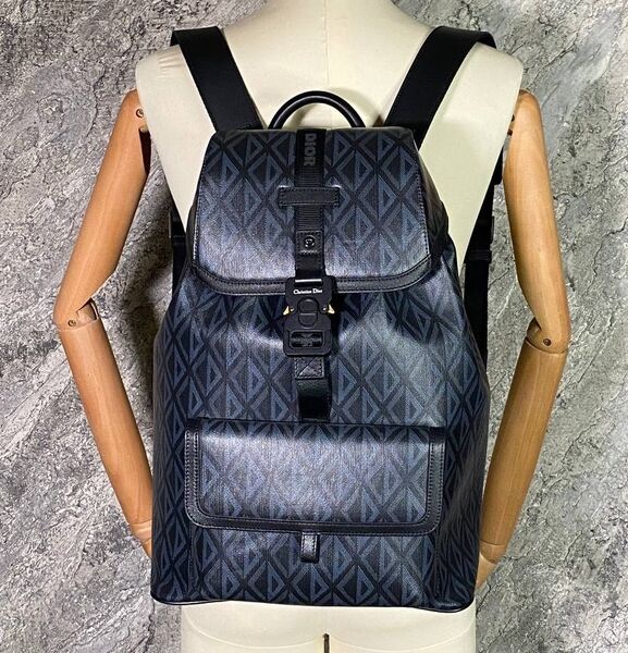Мужской рюкзак Christian Dior мужской канва графитовый 115823