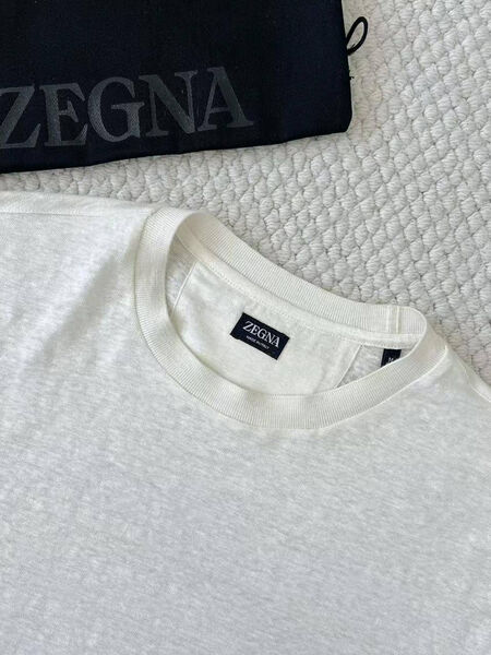 Мужская футболка Zegna мужской белый 181076-6