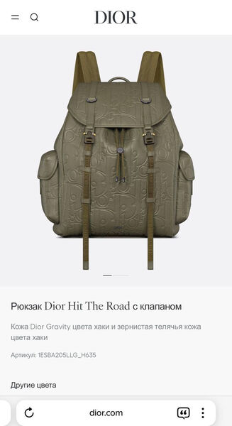 Мужской рюкзак Christian Dior мужской кожа болотный 168447-10