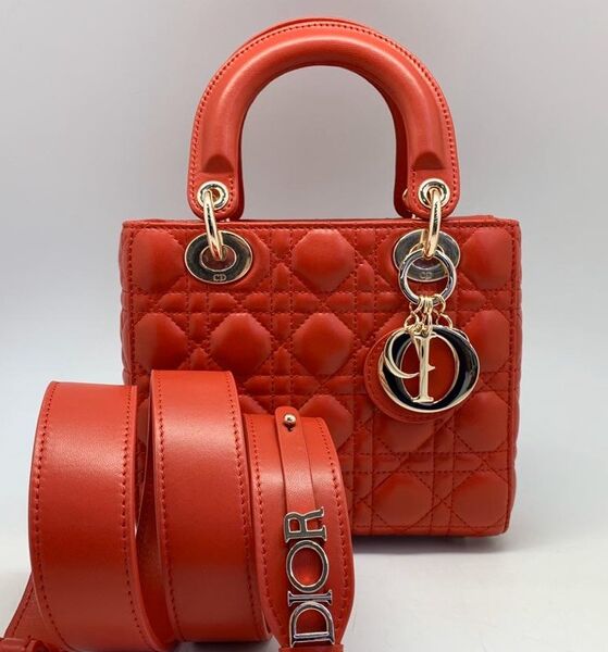 Женская сумка Dior Lady женский кожа оранжевый 19708