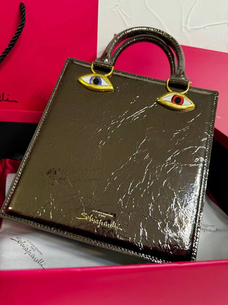 Сумка Schiaparelli женский кожа 174279-2