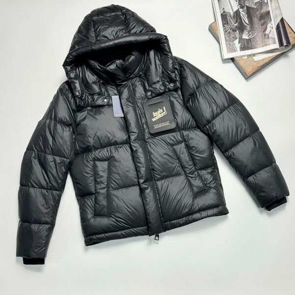 Мужской пуховик Louis Vuitton 165934